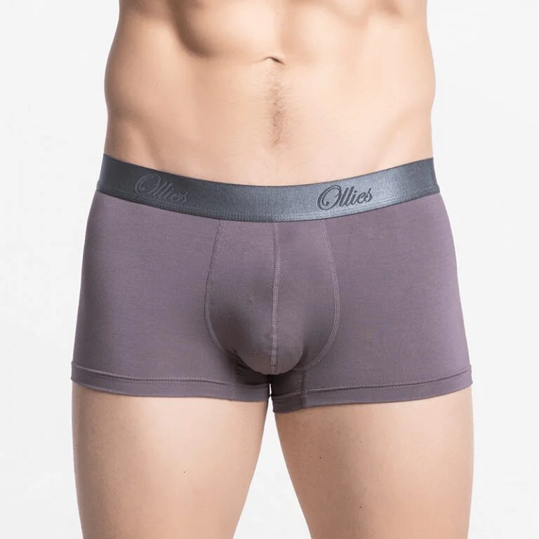 Short boxer briefs for men, elephant grey, Micro Modal underwear
